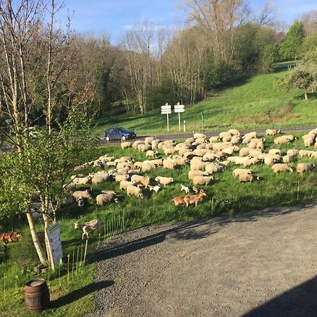 Cote Puy-De Dome Bed & Breakfast Orcines Luaran gambar